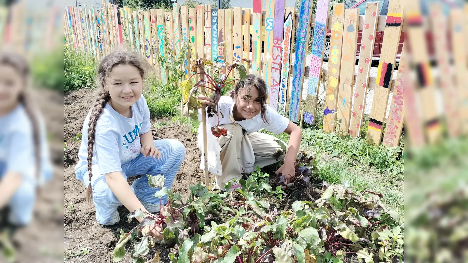 Ihre ersten Berührungen mit selbstangebautem Ost und Gemüse können Schüler in der Garten-AG sammeln. (Foto: Kirchenschule Germering)