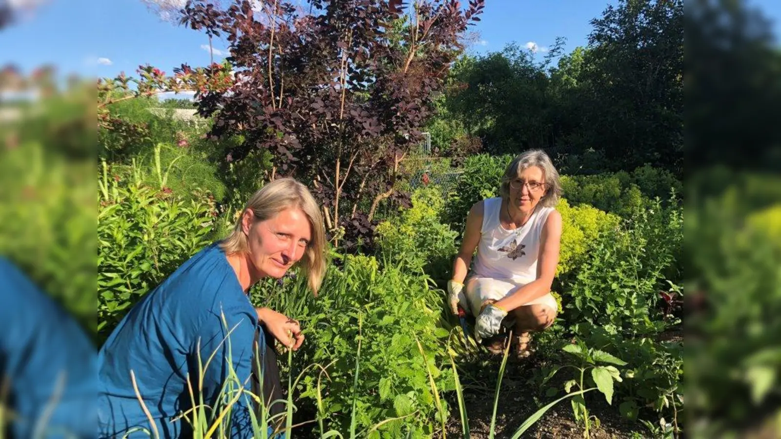 Vereinsvorsitzende Monika Krämer (rechts) mit Gartennachbarin Regina Wagner beim Begutachten der Gemüsepflanzen. (Foto: SW 83)