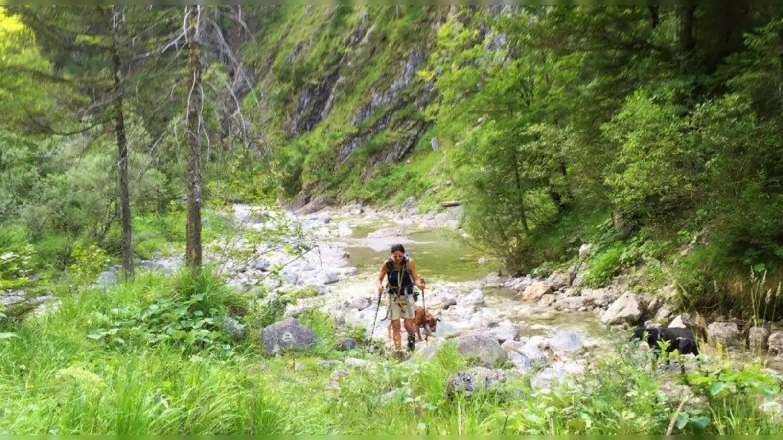 Für Mensch und Tier gleichermaßen schön: Die Wanderung ist mit Hunden eine besondere Freude. (Foto: Sonja Ullrich)