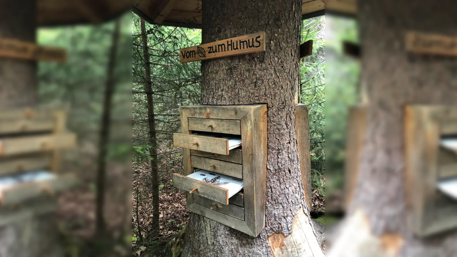 Im Walderlebniszentrum gibt es jede Menge spannende Stationen zu entdecken. (Foto: hw)