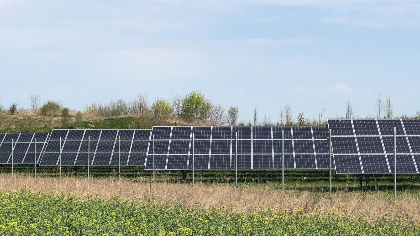 Infoabend zur Bürgerbeteiligung am Solarpark Nettelkofen | Wochenanzeiger
