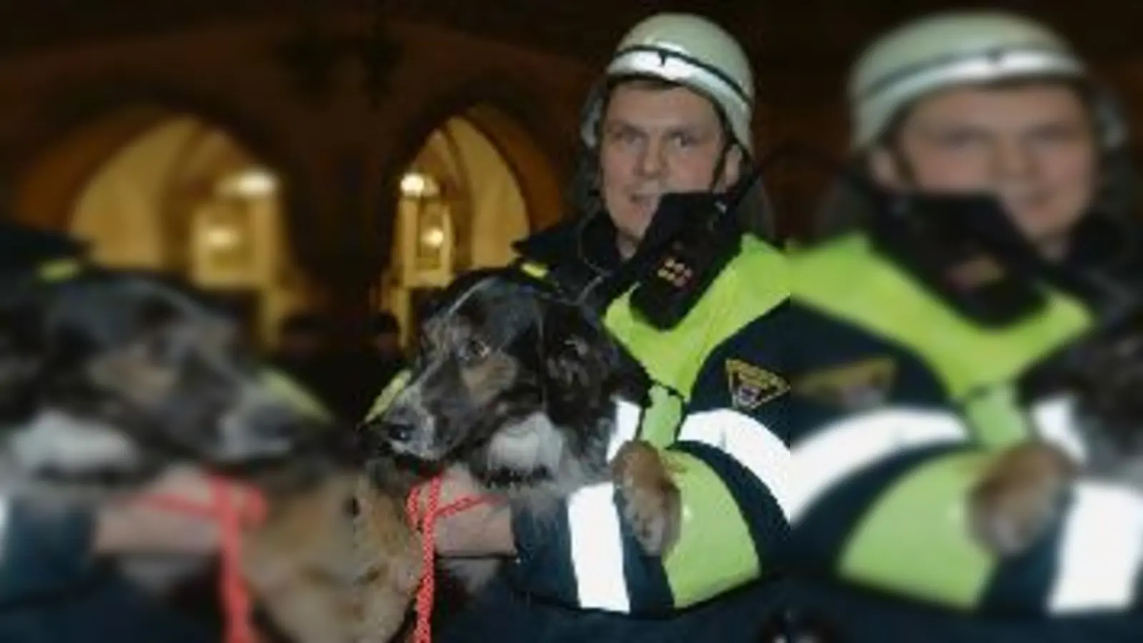 In den richtigen Händen: der gerettete Mischlingshund.  (Foto: Feuerwehr)