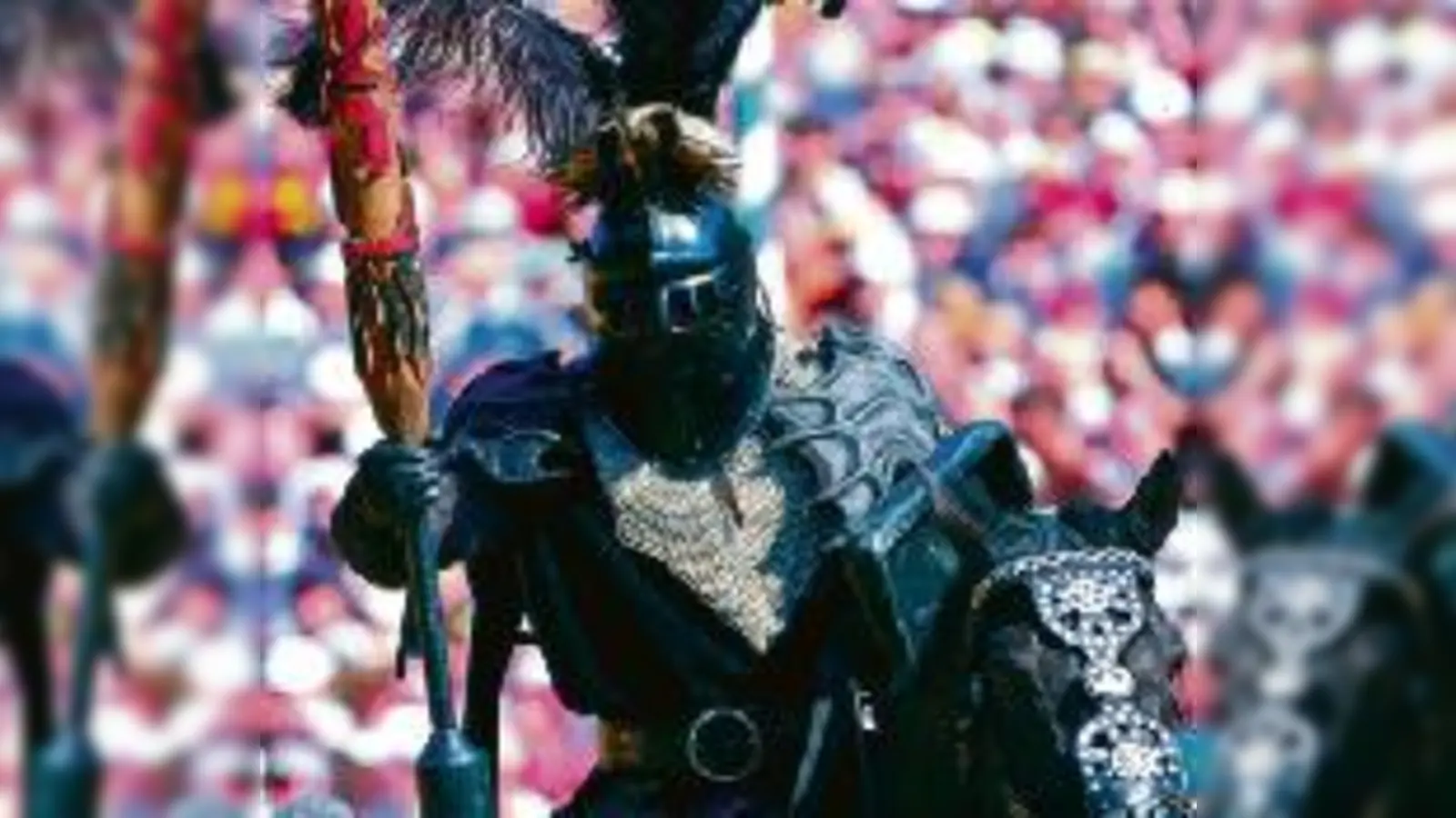 Buhmann und Star des Kaltenberger Ritterturniers: Der Schwarze Ritter.  (Foto: Peter Ernszt)