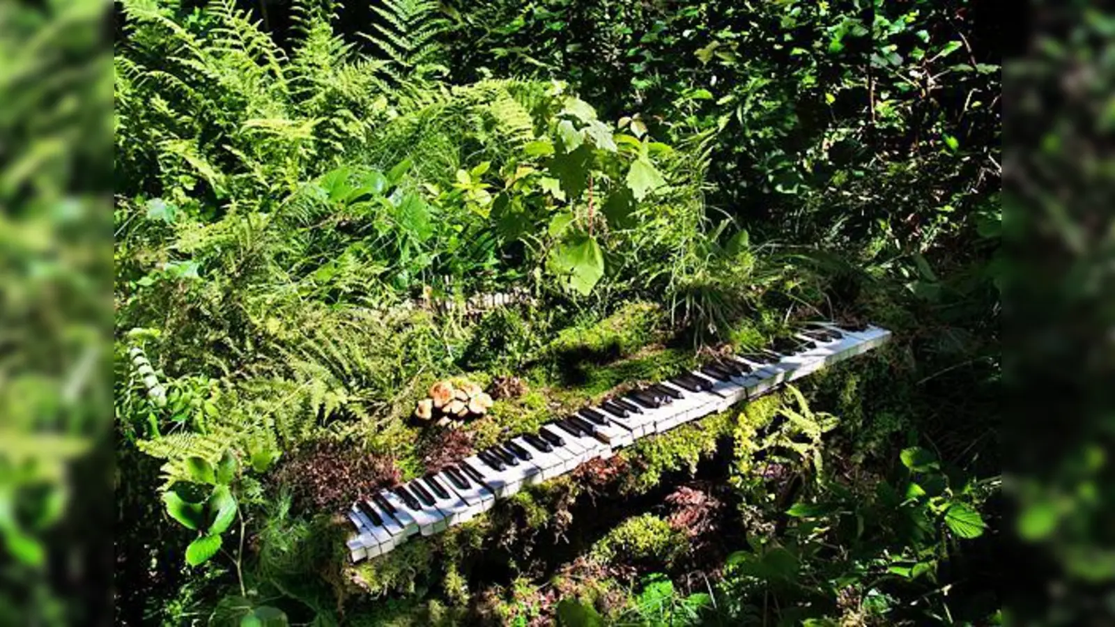Das Publikum begleitet den Flügel auf dem Weg in die Wildnis.	 (Foto: Laura Konjetzky)