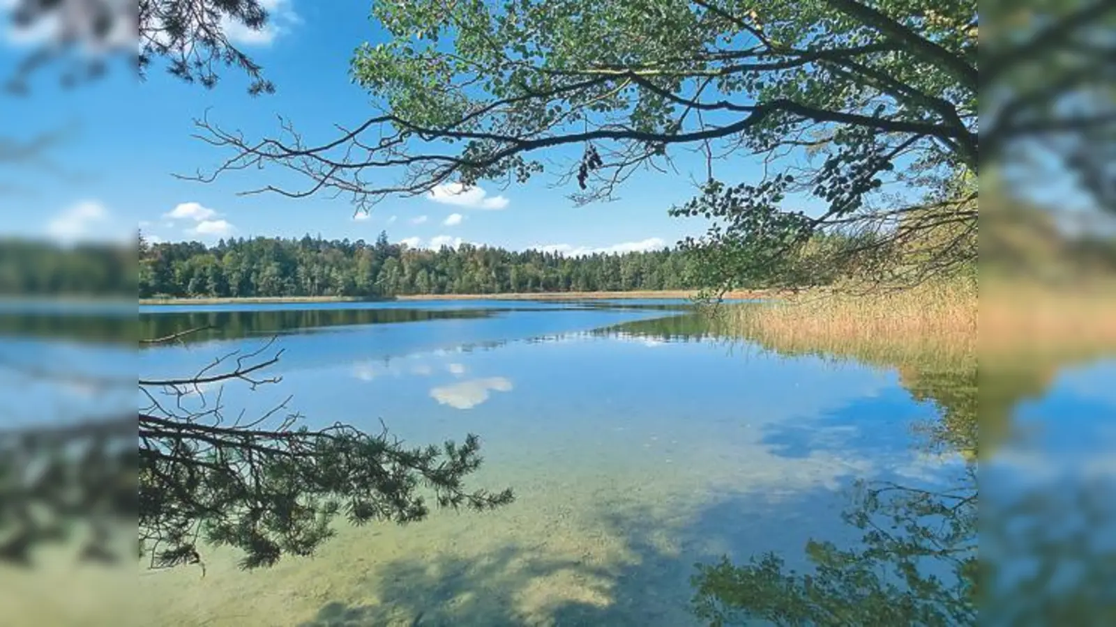 Der Wörthsee, früher Ausee, liegt liegt im nördlichen Landkreis Starnberg.	 (Foto: SVN)