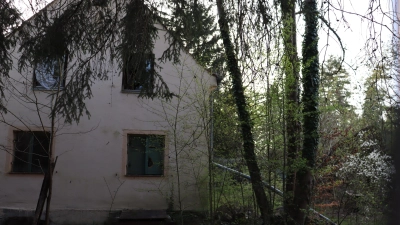 Keiner wohnt mehr auf dem Gelände. Doch Tiere und Pflanzen haben ein Zuhause in der Eggarten-Siedlung gefunden.  (Foto: mha)
