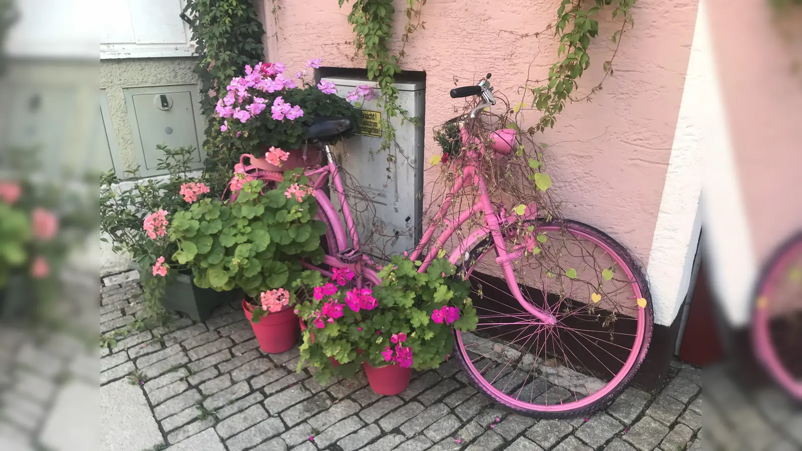 Für alle, die ihr Radl lieber fahren als nur dekorieren, bietet der ADFC im Landkreis jede Menge Touren.  (Foto: hw)