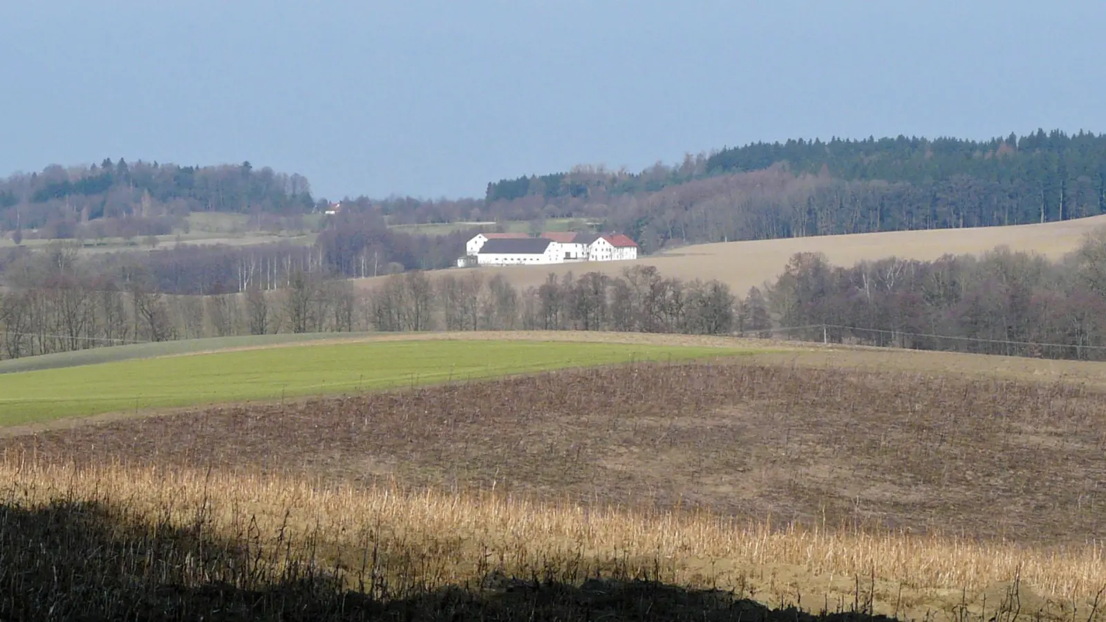 Das Erdinger Holzland bei Bockhorn: Gerade die wertvollen Landwirtschaftsflächen und sensiblen Naturräume sollen unbedingt erhalten werden. (Foto: CC BY-SA 4.0)