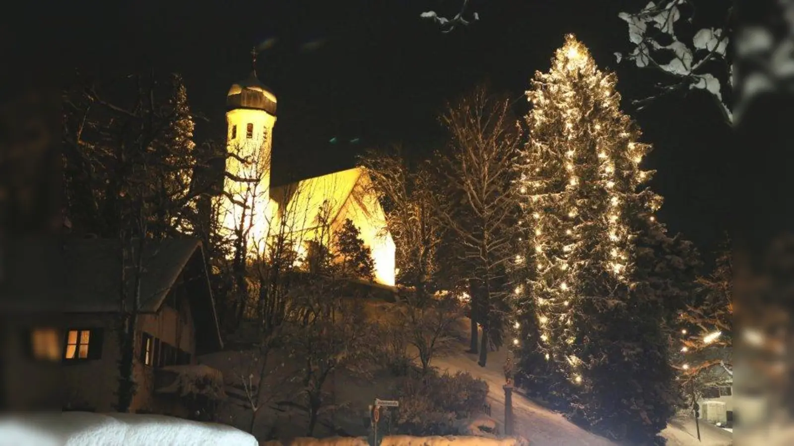 Die Fichte am Kirchberg auf einem Foto aus dem Jahr 2015. Der Baum konnte leider nicht mehr erhalten werden. (Foto: Polednik/Gemeinde Herrsching)