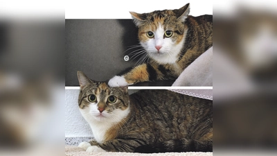 Karoline und Leonie. (Foto: Tierheim Riem)