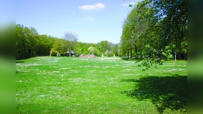 Der Rückbau des Allacher Sommerbades ist in vollem Gange. Mitte Juni sollen die Arbeiten beendet sein, anschließend will das Baureferat die Grünfläche mit Spielplatz realisieren. (Foto: ls)