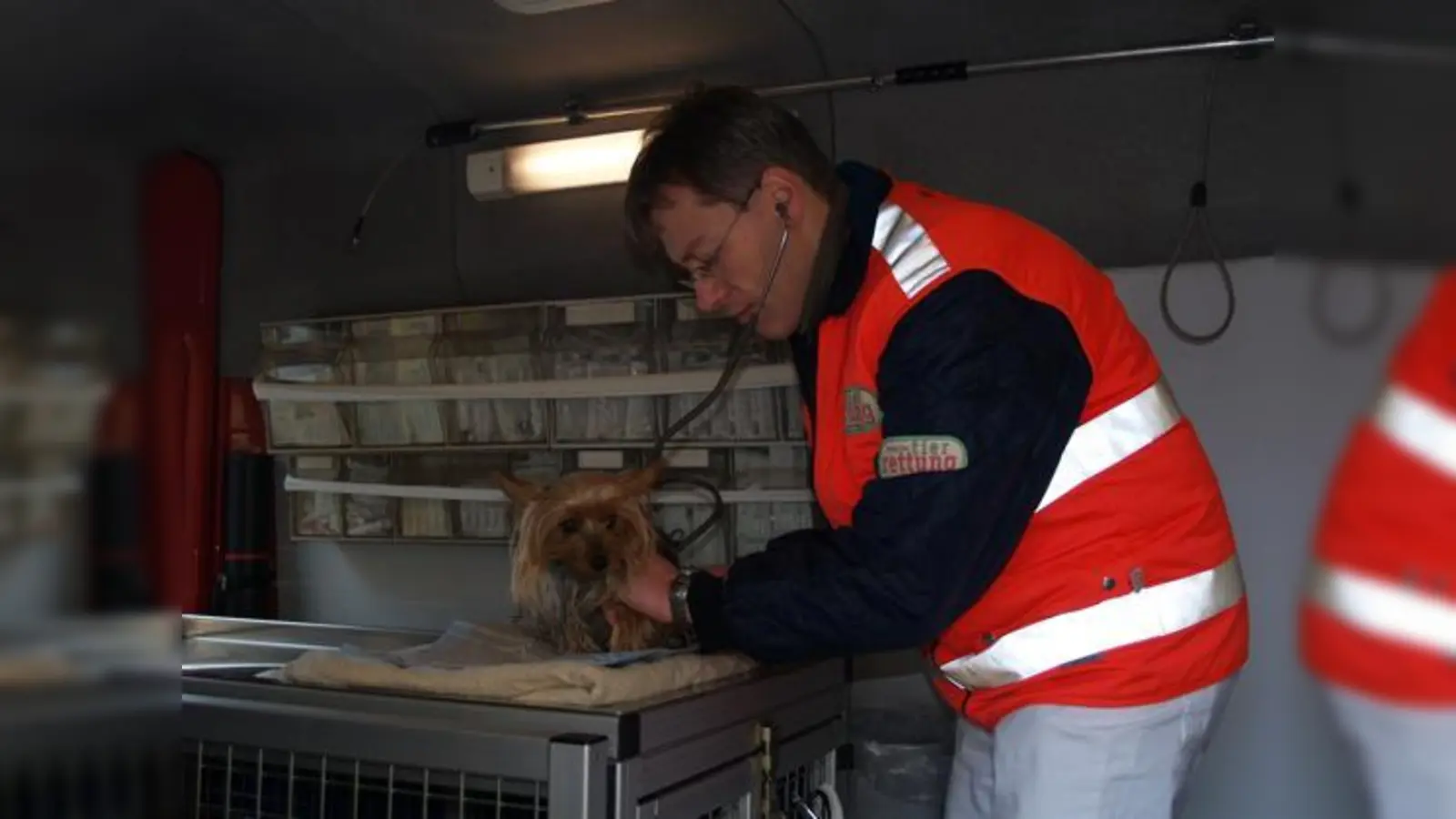 Retter in der Not: Tierarzt Dr. Gábor Horváth kümmert sich um den verletzten Yorkshire Terrier Cindy.  (Foto: sm)