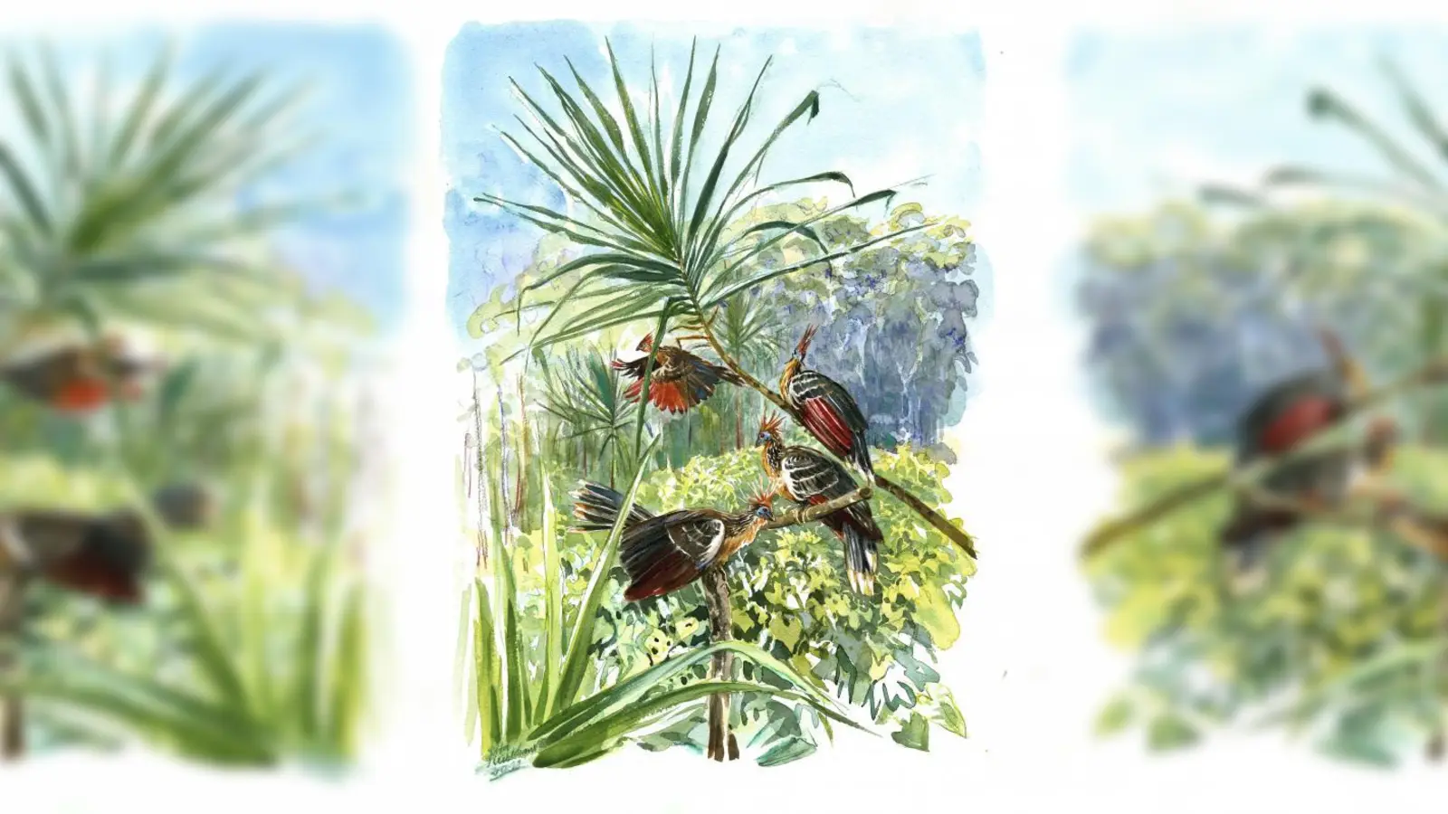 Die Malerin Rita Mühlbauer zeigt  „Bilder aus dem Urwald - Panguana” im Botanischen Garten. (Foto: pi)