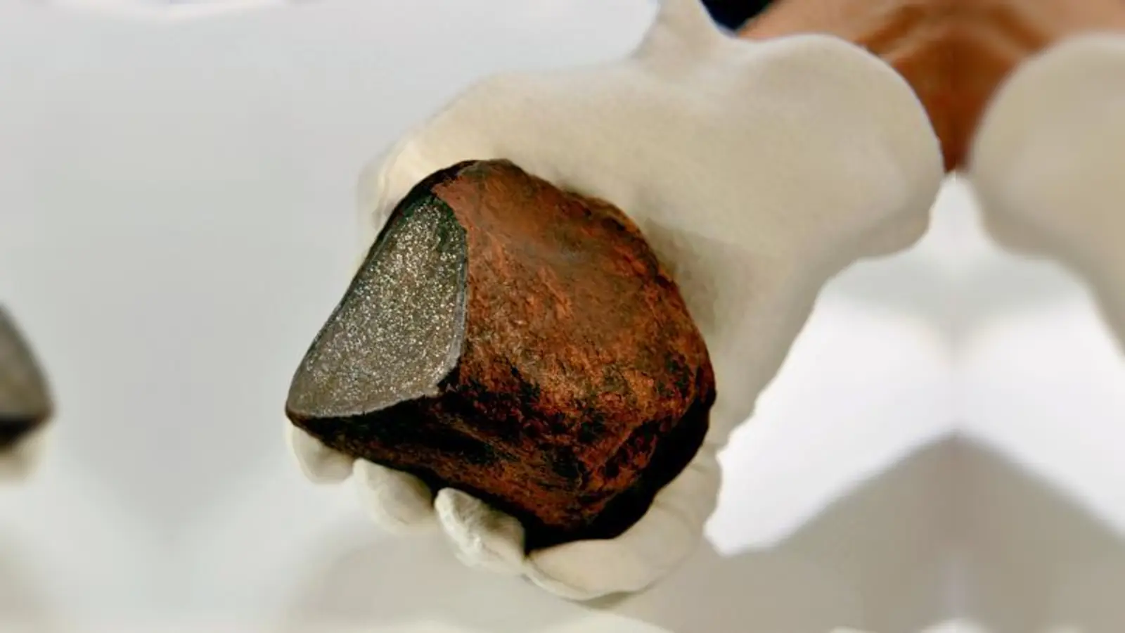 Das Objekt der Begierde! Der sechste bayerische Meteorit wird in Zukunft im Naturkundemuseum Bayern zu sehen sein!	 (Foto: Nitschke)