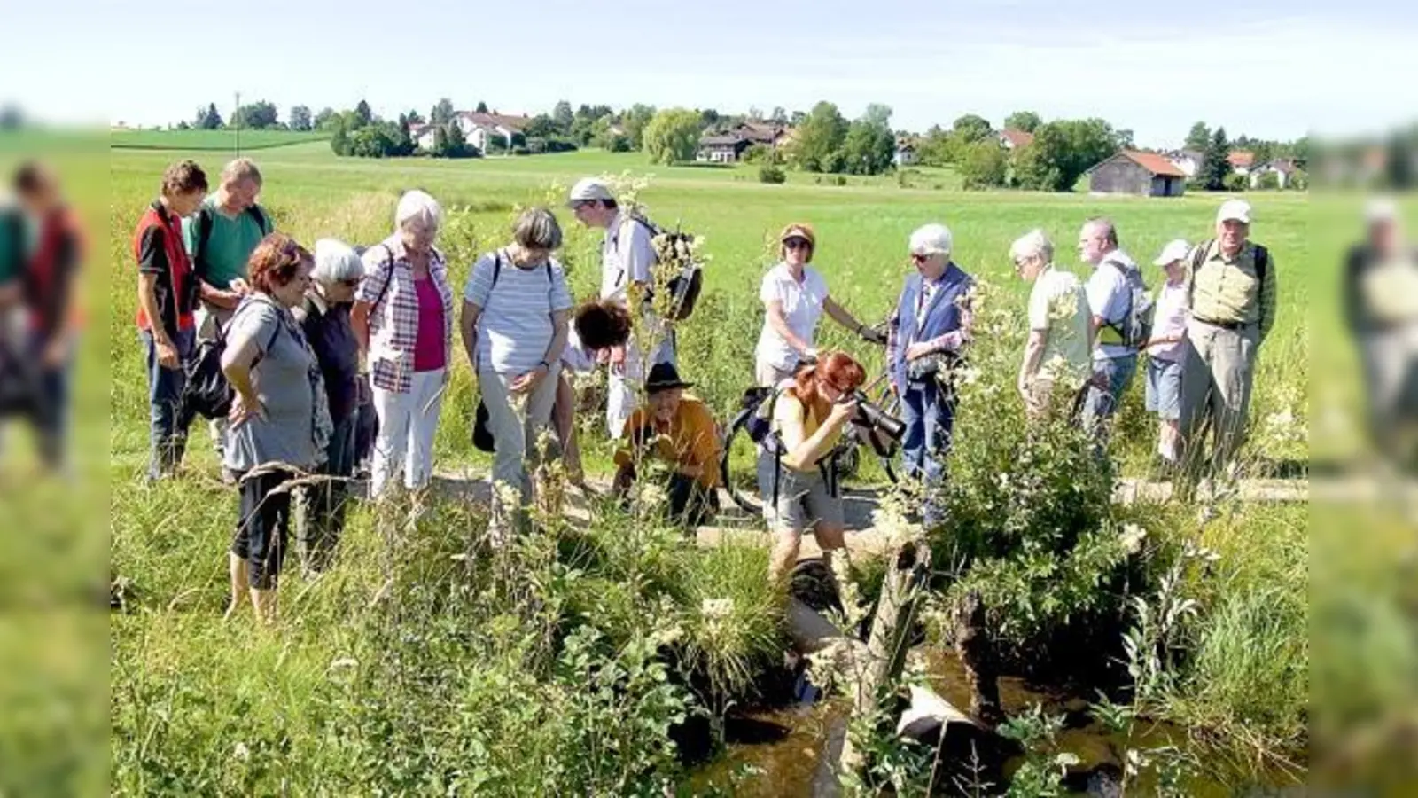 20 Naturfreunde waren den Schmetterlingen am Egglburger See auf der Spur.	 (Foto: Otto Hartl)