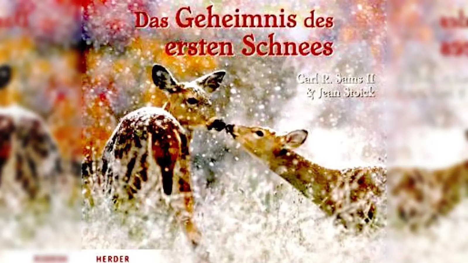 Die Bilder des Buches werden auf eine Leinwand projiziert.	 (Foto: VA)