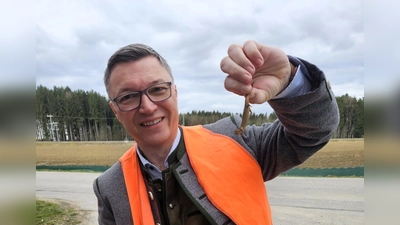 Schwabhausens Bürgermeister Wolfgang Hörl packt bei der diesjährigen Amphibienwanderung mit an. (Foto: Gemeinde Schwabhausen)