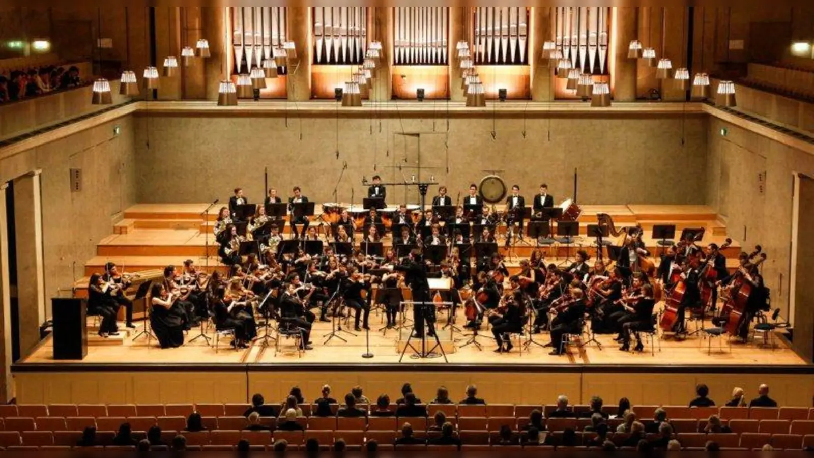 Die Neue Philharmonie München vereint junge Musiker aus ganz Europa. (Foto: NPHM)