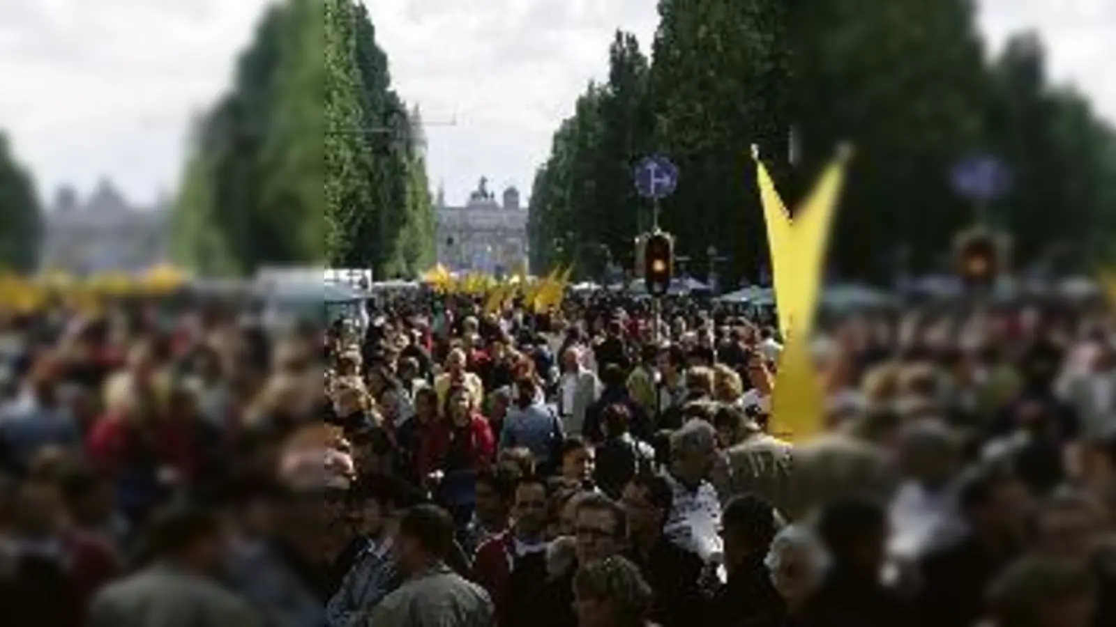 Wird zur Fan-Meile: der Corso Leopold.  (Foto: VA)
