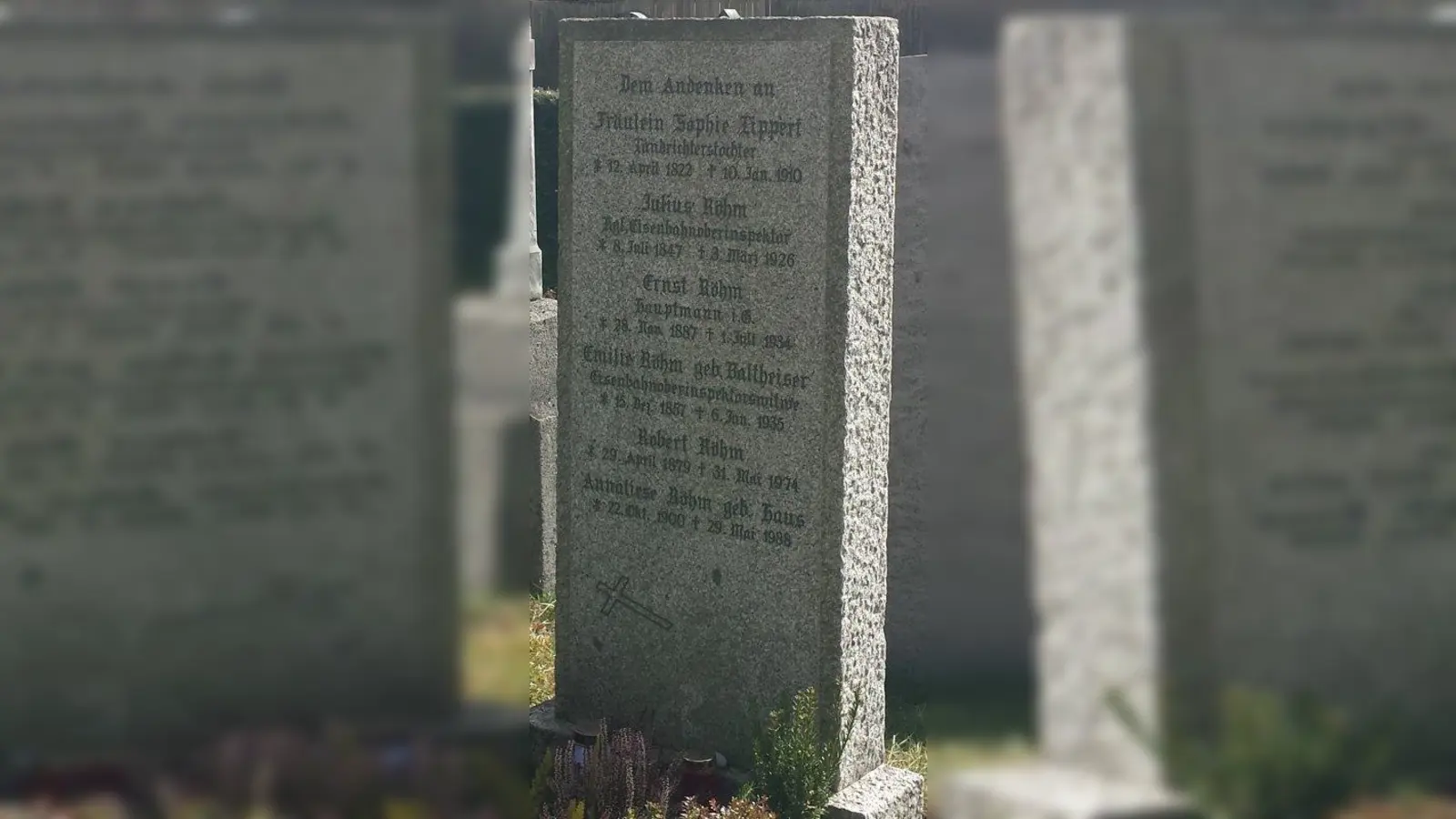 Bild 5 (Foto: Demmel)