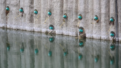 Das Sendlinger Loch: Die Anker (grün), die die Grubenwände stabil halten, haben ihre Nutzungsdauer inzwischen überschritten. (Foto: job)