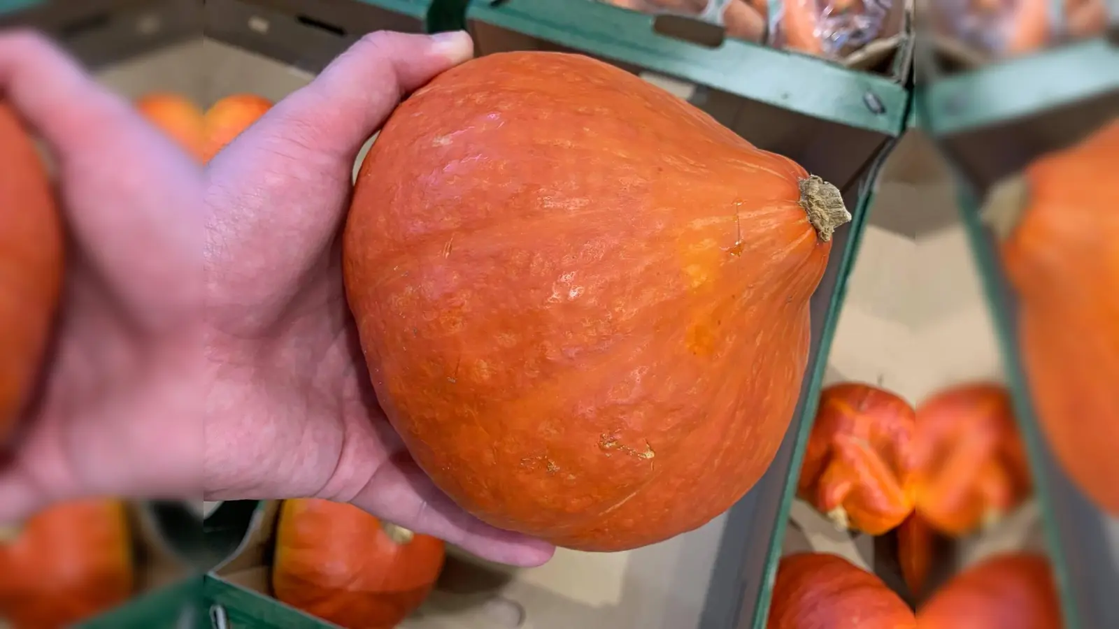 Der Kürbis findet sich momentan auf vielen Tellern, etwa als Kürbiscremesuppe. (Foto: Daniel Mielcarek)