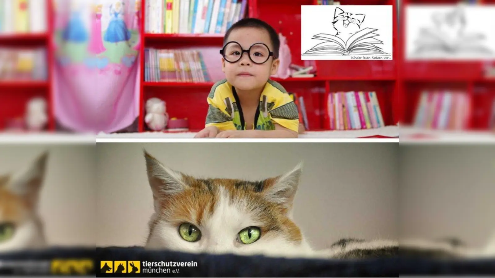 Sö können Kinder am Wettbewerb teilnehmen: Geschichte ausdenken, aufschreiben, aufnehmen und einsenden. (Foto: Collage Tierschutzverein München)