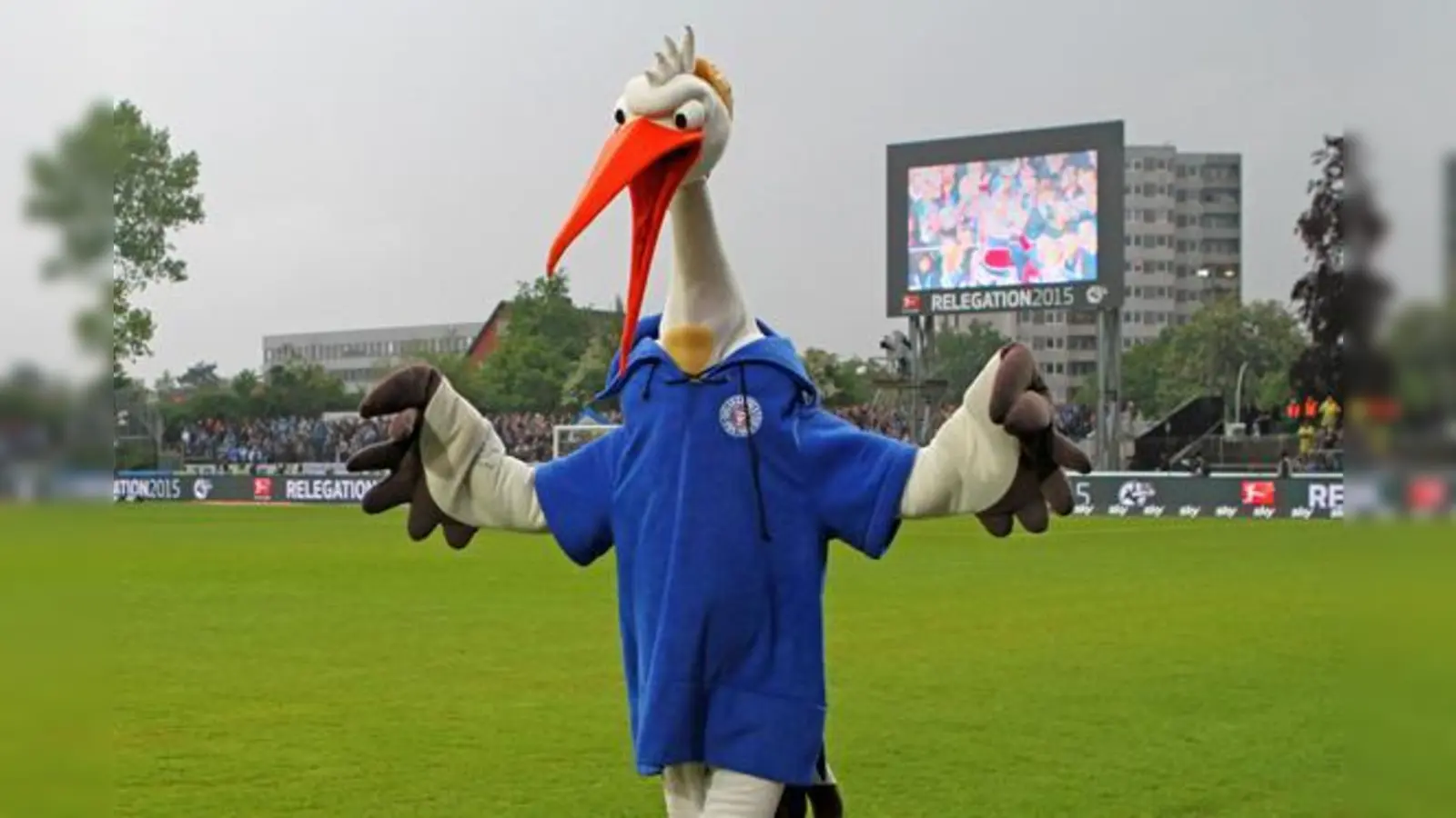 Wiedersehen im DFB-Pokal: Münchner Löwen und Kieler Störche.  (Foto: Anne Wild)