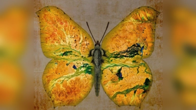 Der Wirbelsturm Esther hat über dem australischen Queensland historisch große Regenmengen niedergehen lassen. Das Pendeln zwischen Dürre und Überschwemmung ist dort inzwischen zum Normalzustand geworden. (Foto: Vieth)