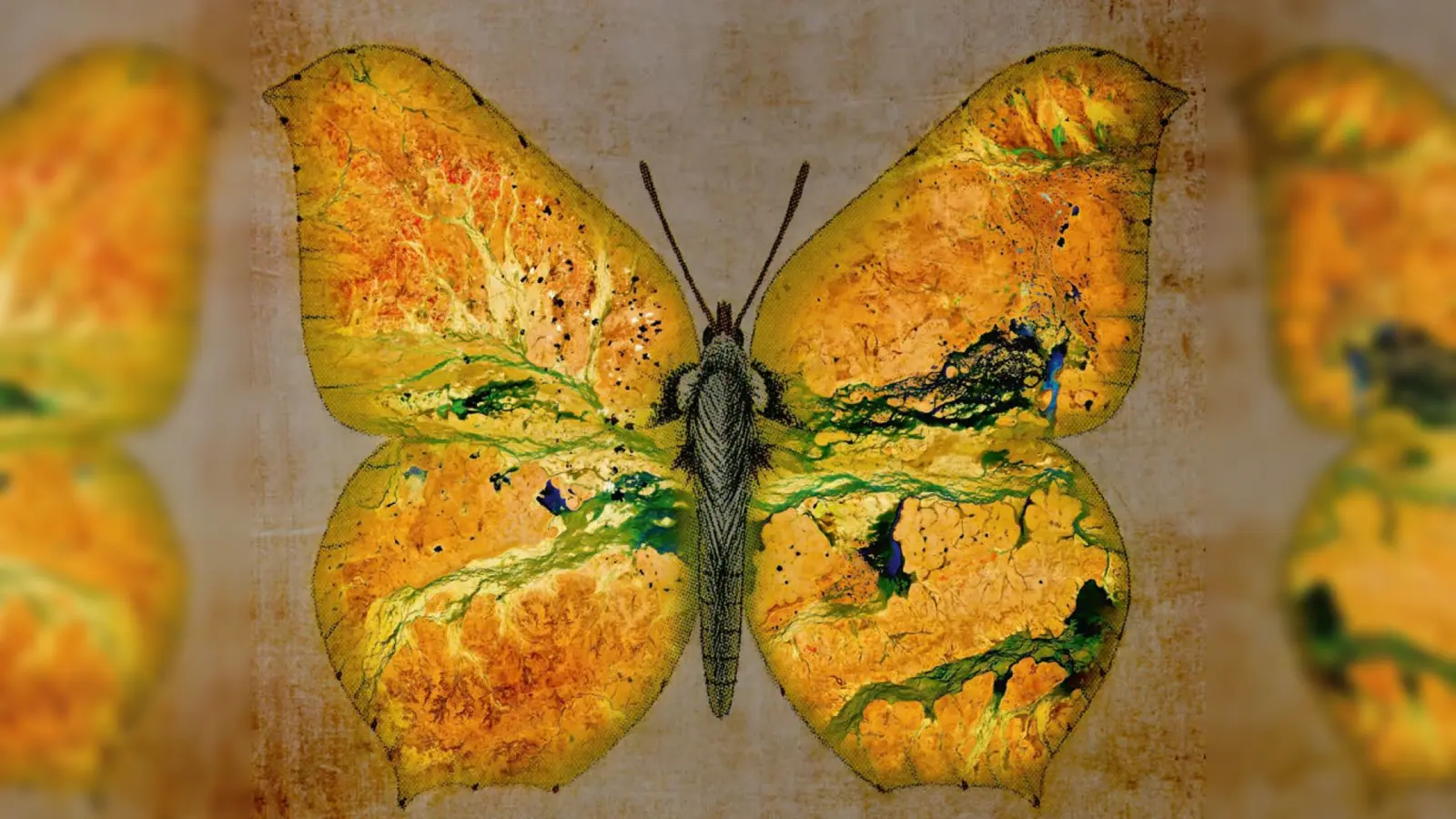 Der Wirbelsturm Esther hat über dem australischen Queensland historisch große Regenmengen niedergehen lassen. Das Pendeln zwischen Dürre und Überschwemmung ist dort inzwischen zum Normalzustand geworden. (Foto: Vieth)