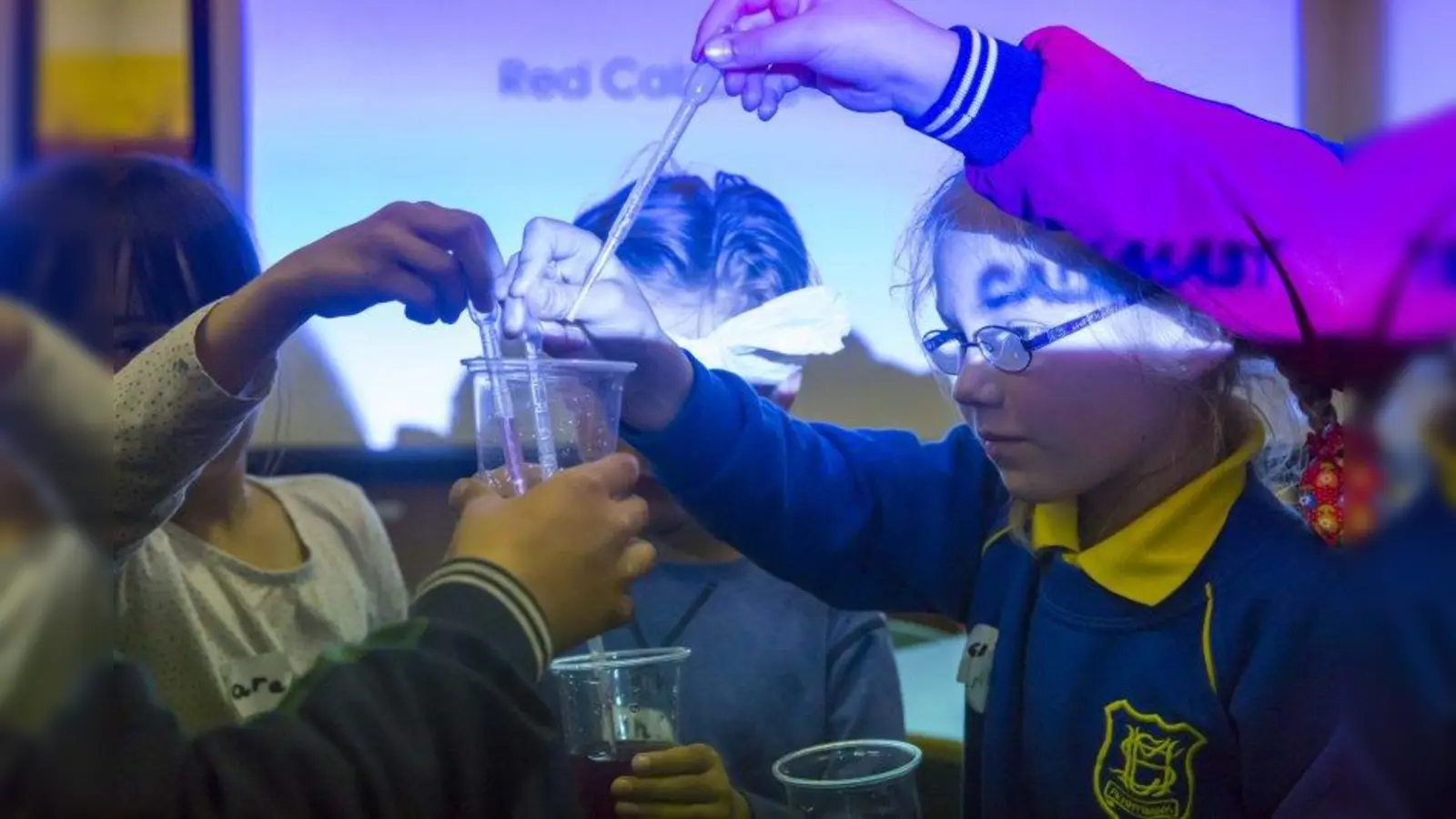 Chemie in der Küche: Was macht das Backpulver mit dem Kuchen? Unter anderem dieser Frage wird im Mitmach-Lab des „Biotopia”-Festivals nachgegangen. (Foto: Cordula Weiss / Biotopia Naturkundemuseum Bayern)
