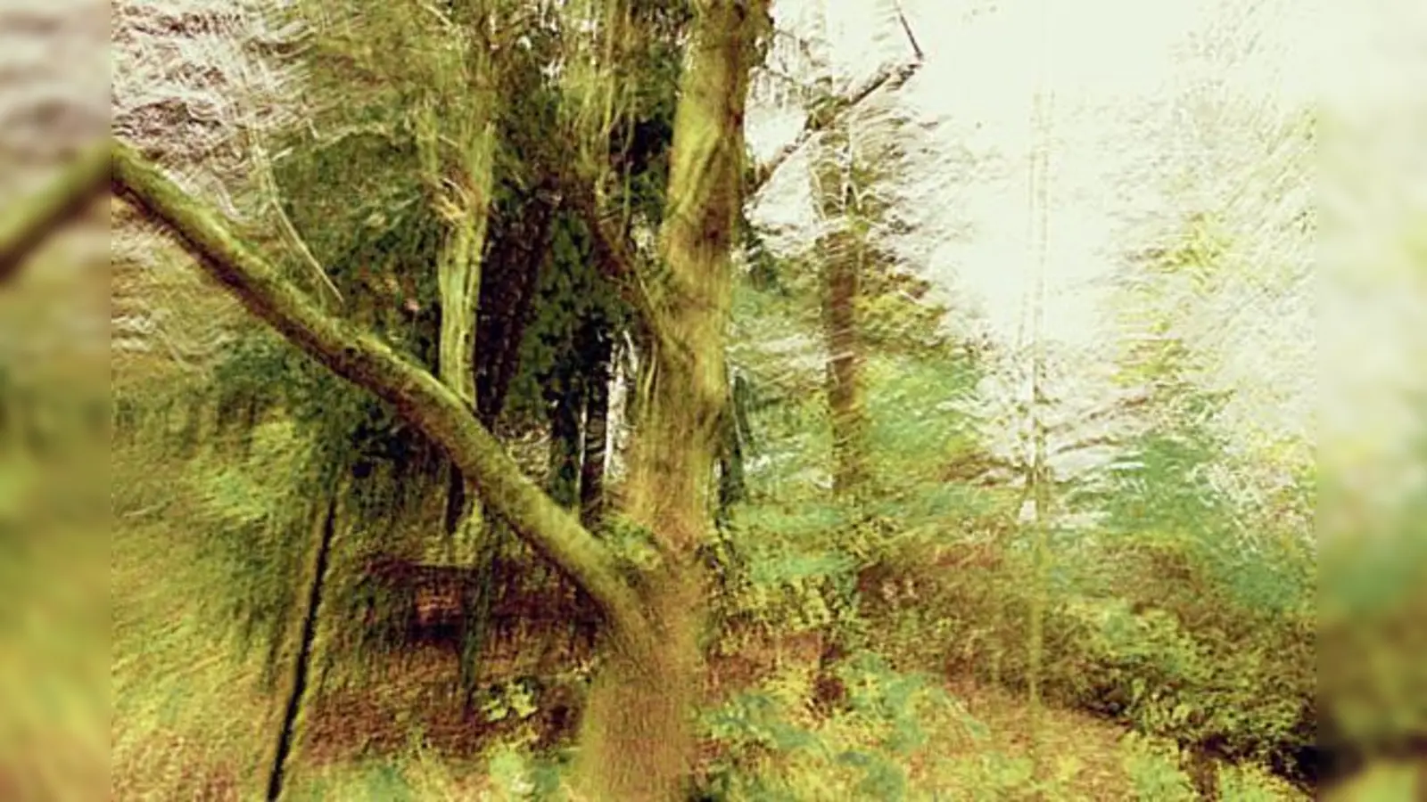 Die Ausstellung »Wald und Peripherie« kann noch bis zum 27. November besichtigt werden. 	 (Foto: VA)