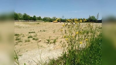 Der Unterföhringer Gemeinderat konkretisiert verschiedene Bauprojekte: Auf dem Areal am Römer-/Keltenweg und Aschheimerstraße bis zur S-Bahn werden im Einheimischen Modell Wohnungen und Reihenhäuser gebaut.  (Foto: Andrea Hinze)