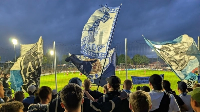 Glückliche Reise: die Löwen in Unterfranken.  (Foto: M. Forster)