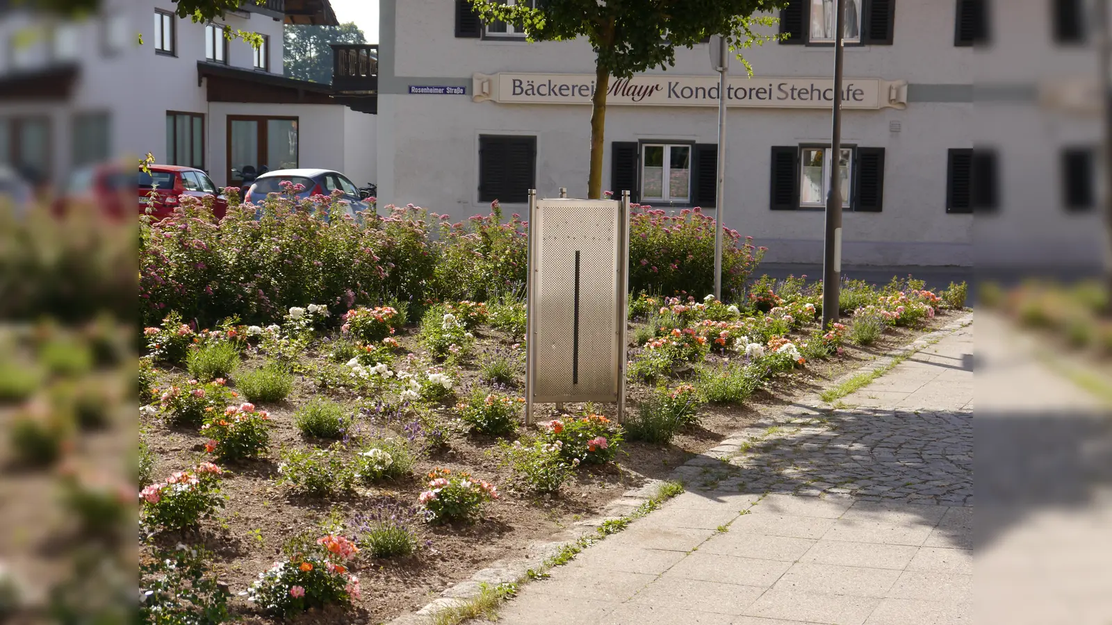 Die im Mai 2019 gepflanzte Blühfläche vor dem Aßlinger Rathaus. (Foto: Trudi Christof)