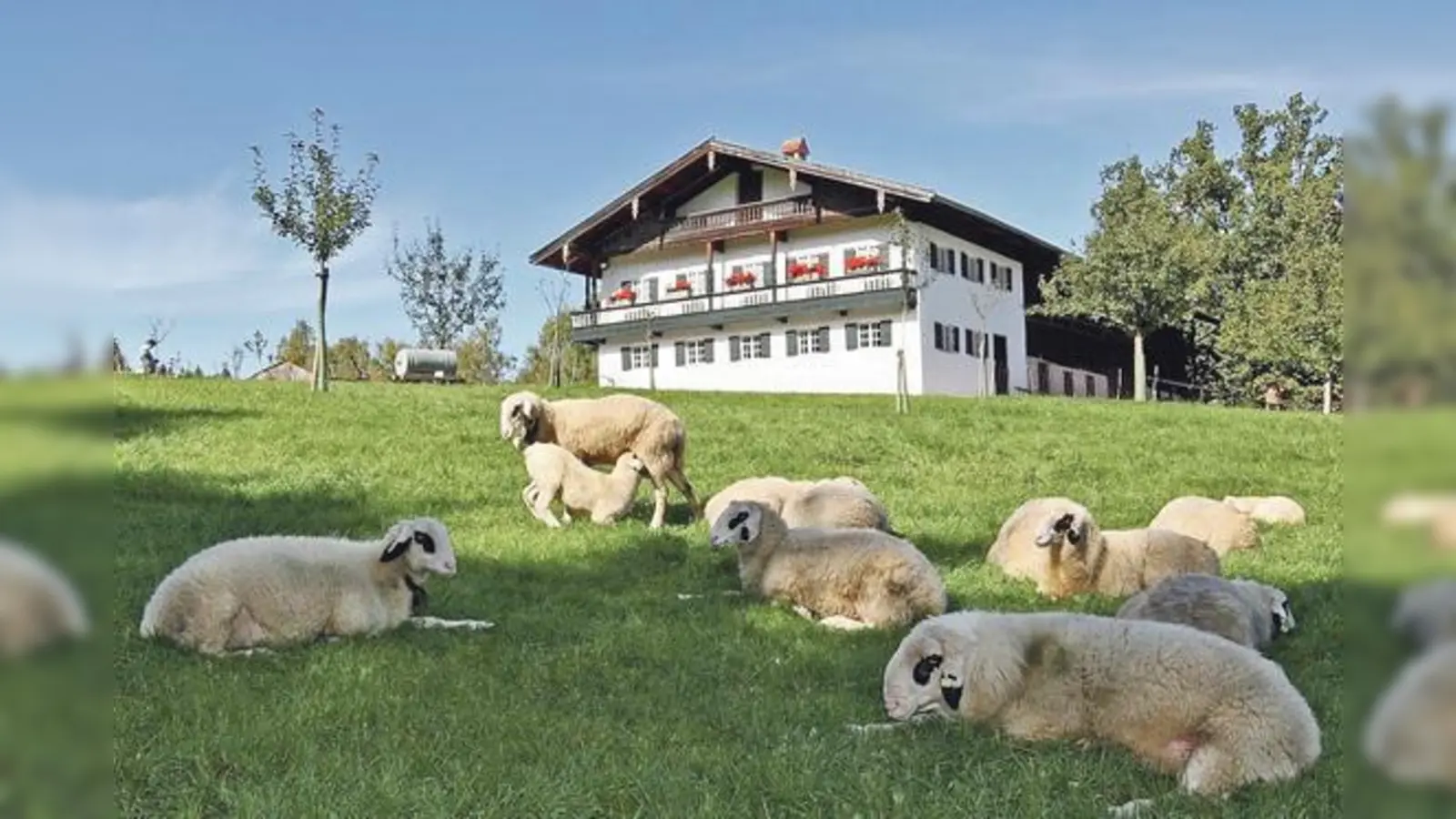 Am 6. August geht es mit der NBH ins Freilichtmuseum nach Glentleiten.	 (Foto: Bezirk Oberbayern/Archiv FLM Glentleiten)