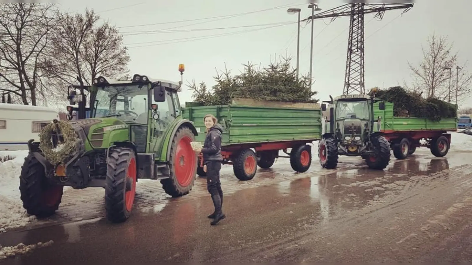 Auch heuer sammelt die Junge Union in acht Gemeinden die Christbäume ein. (Foto: JU)