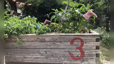 Das Ziel ist ein nachhaltiger und kindgerechter Garten für die Arche in Ebersberg. (Foto: hw)