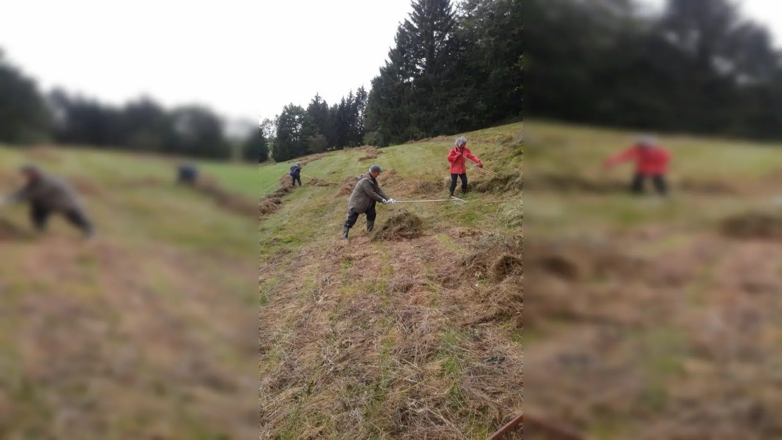 Mahd des Naturdenkmals &amp;quot;Lange Wiese&amp;quot; im Jahr 2019. (Foto: Günther Paschek)
