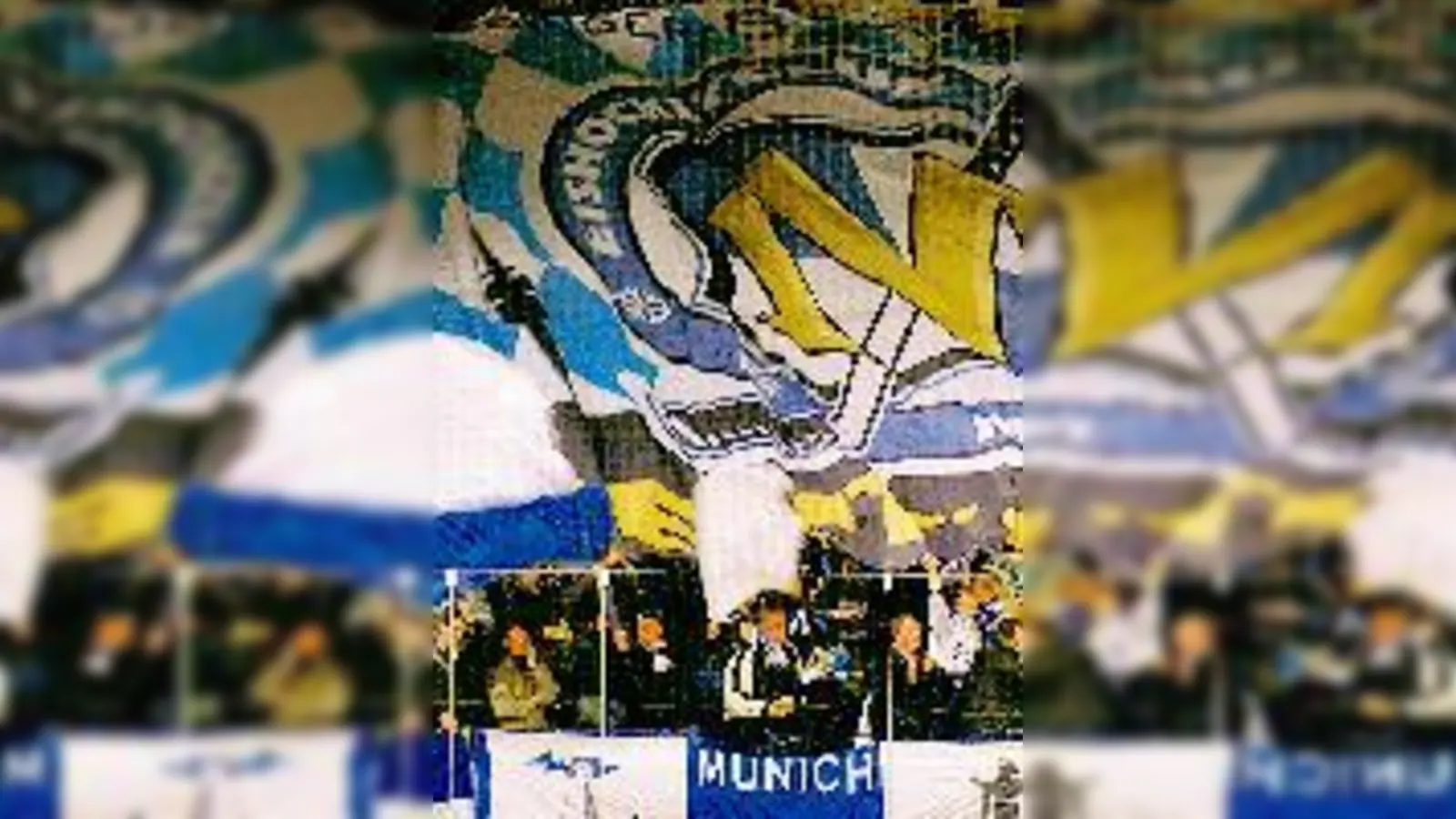 ... und bei den  (Fans.Foto: phe)