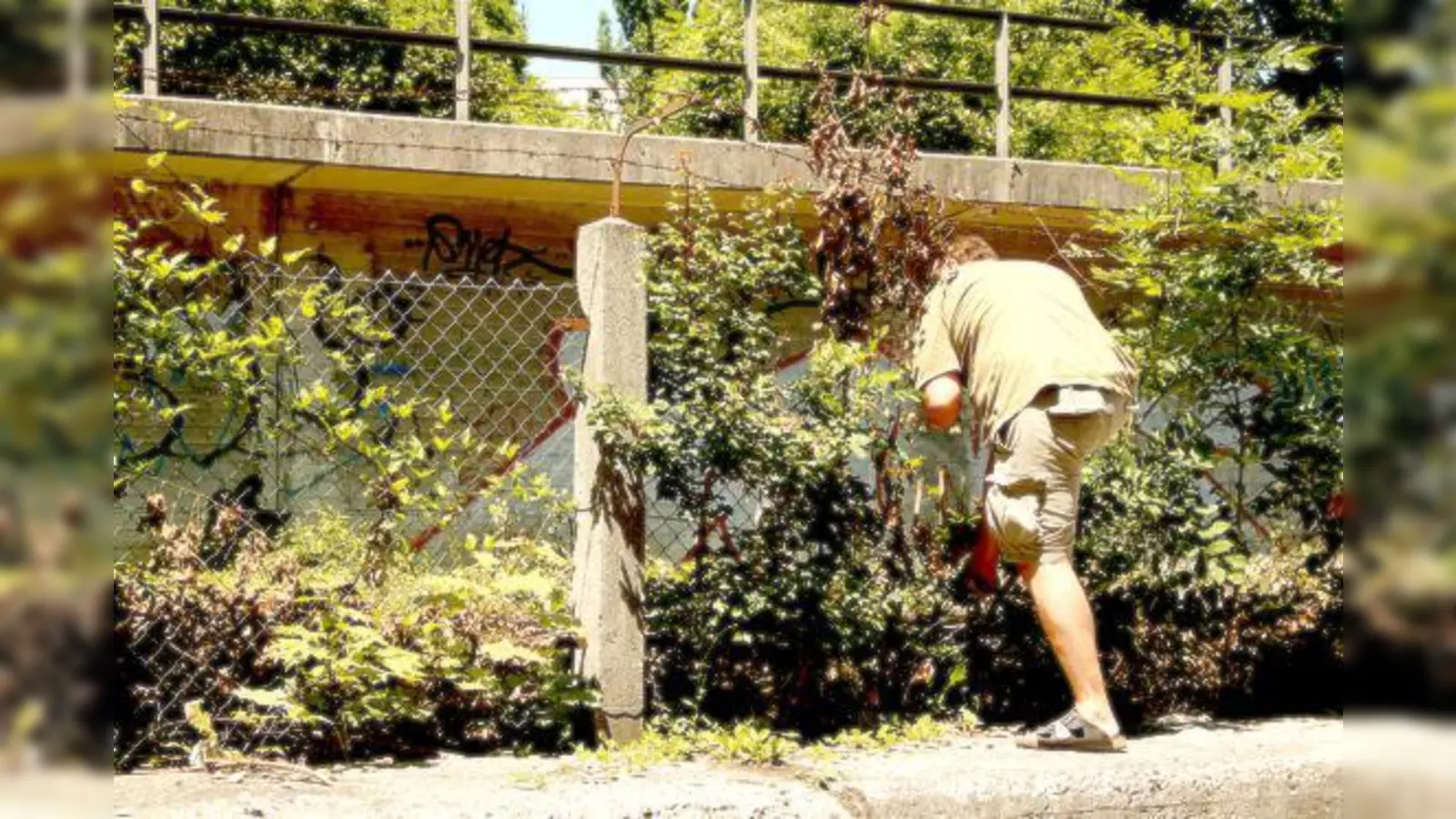 Der BA will den Zaun unbedingt ausbessern lassen, die Bahn weigert sich.	 (Foto: js)