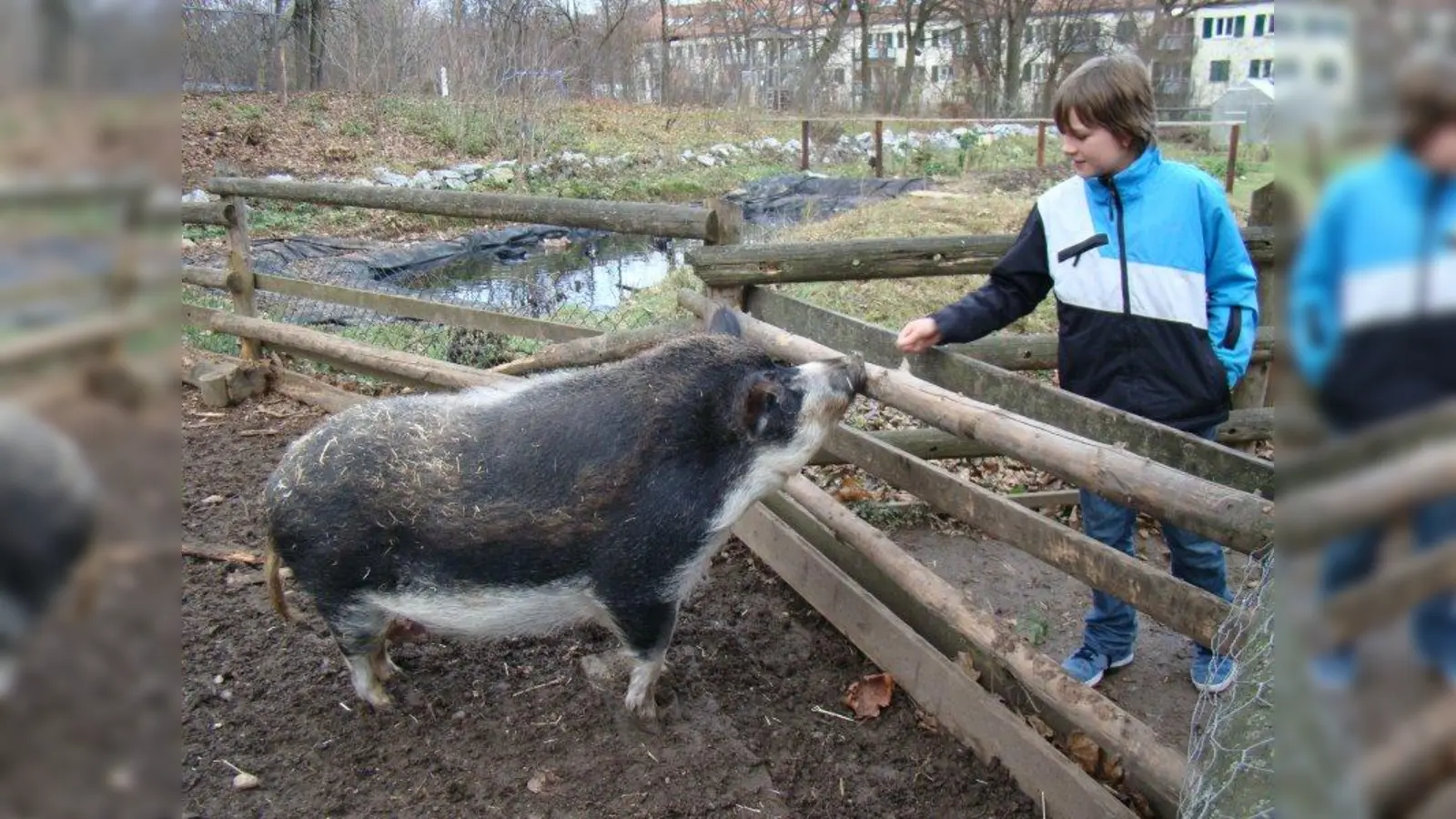 Mit dem Schwein auf du. (Foto: pst)