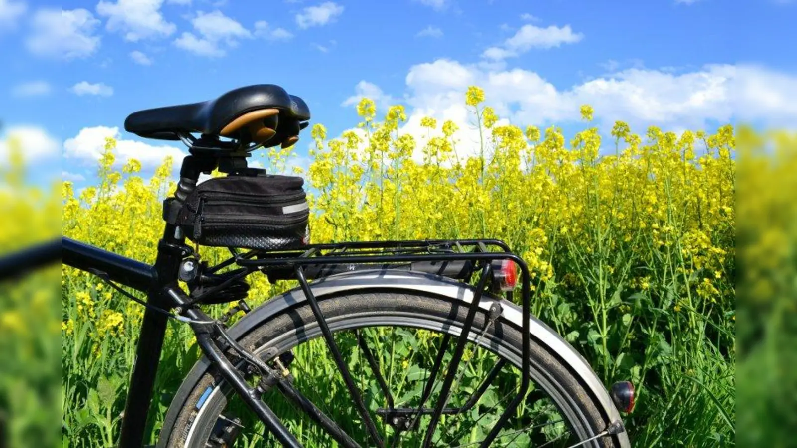 Vom 20. Juni bis zum 10. Juli beteiligt sich Gräfelfing am Stadtradeln. (Foto: Andreas Hermsdorf/ pixelio.de)