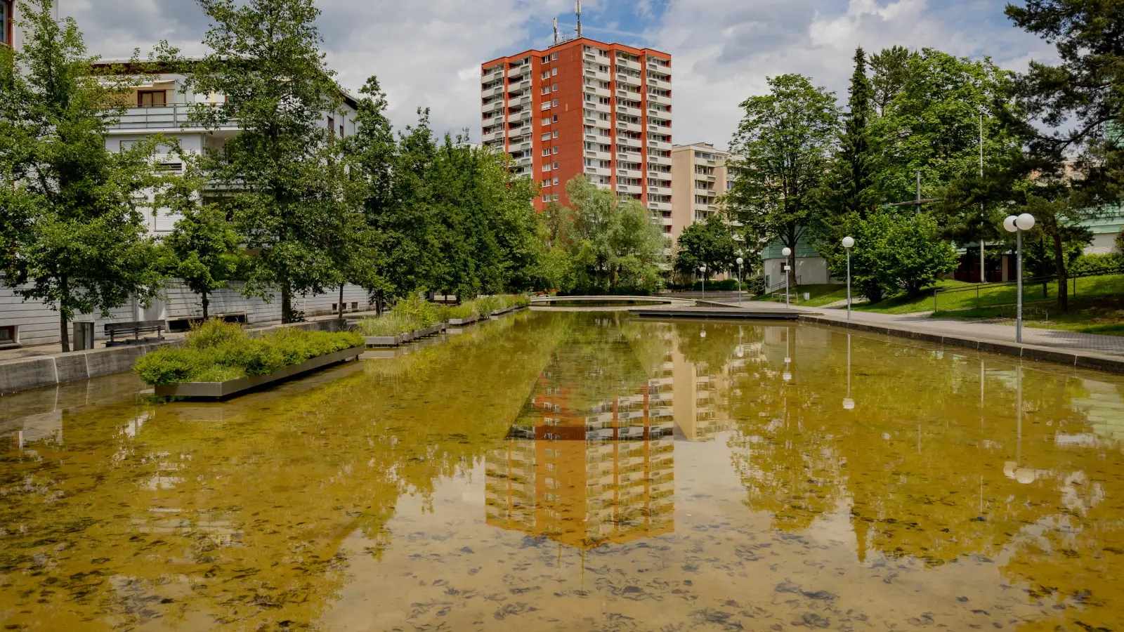 Schlamm und Schlick liegen auf dem Grund des großen Jagdfeldsees in Haar. Dieser Unrat mus raus. (Foto: Gemeinde Haar)