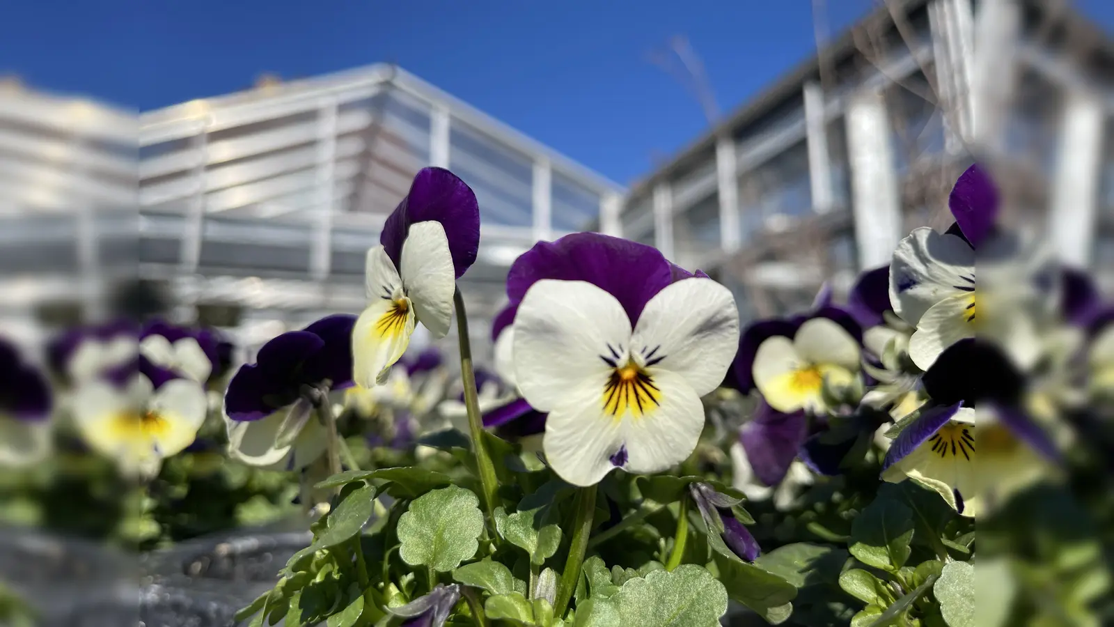 Gärtnern macht auch schon kleinen Kindern viel Spaß! (Foto: hw)
