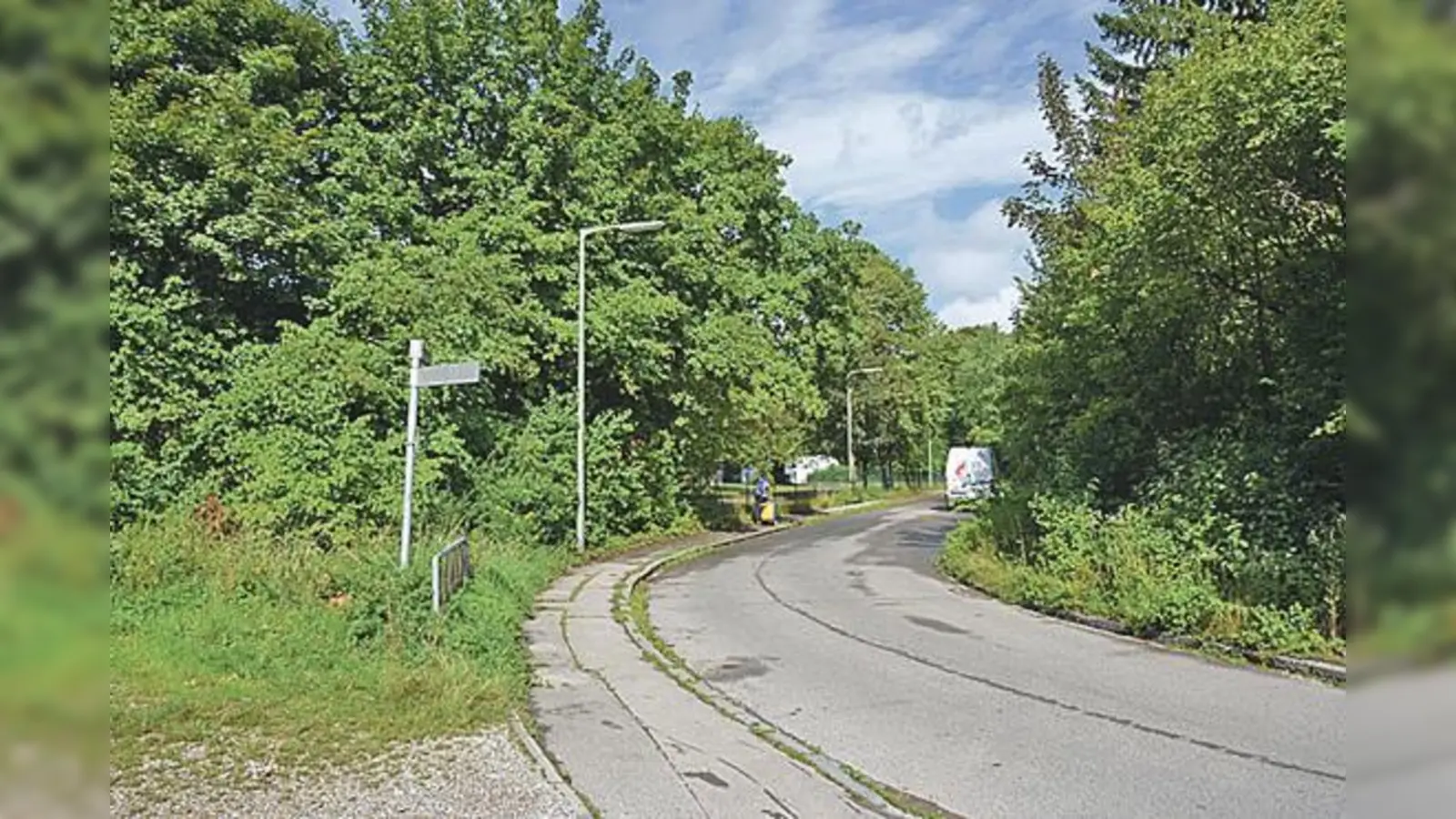 Investor und Stadt drängen zum Wohnungsbau auf einem ökologisch wertvollen Grundstück in der Fauststraße 90 in Trudering. 	 (Foto: BI)