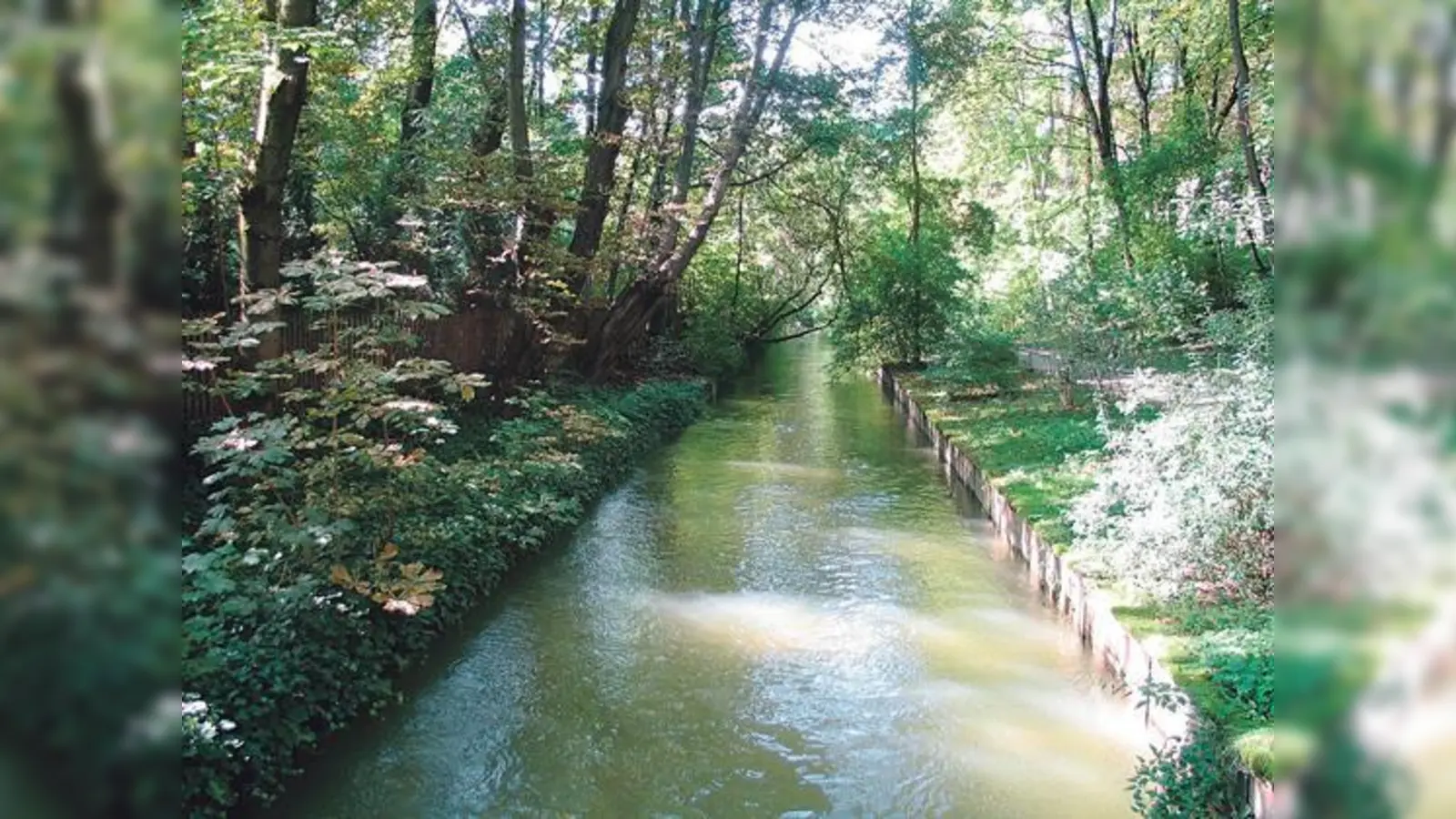 Blick auf den Westermühlbach.	 (Foto: Anna Barnsteiner)