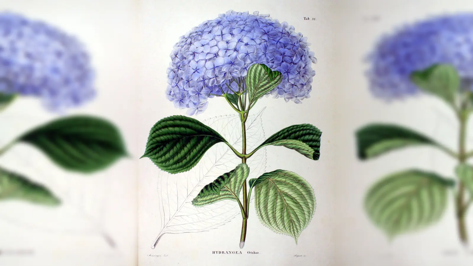 Neuen Pflanzen auf der Spur. (Foto: Botanischer Garten)