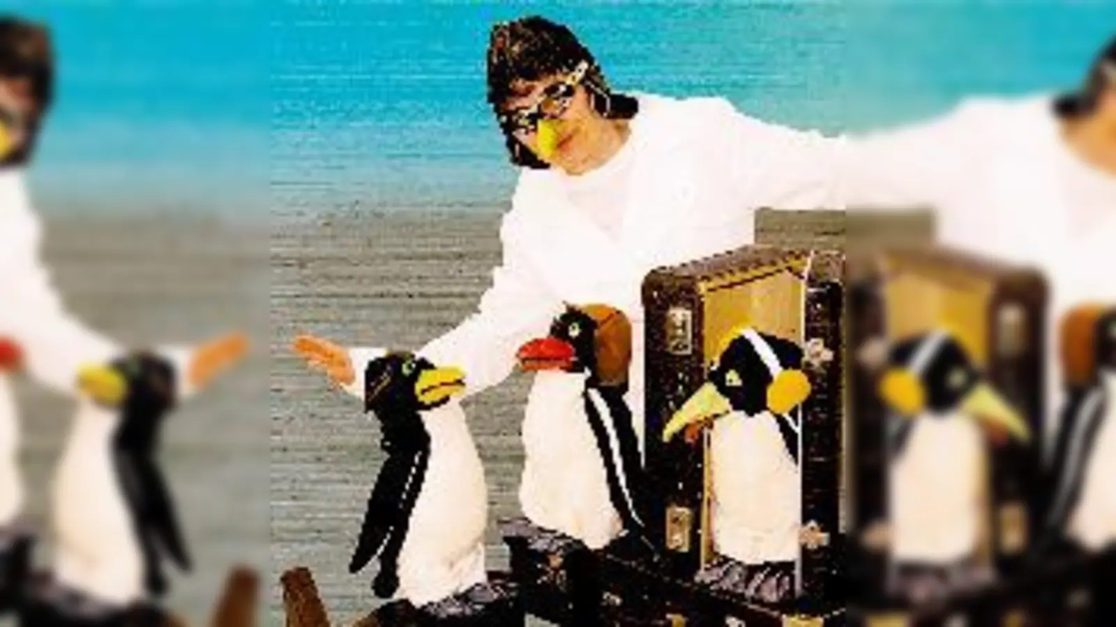 Die drei Pinguine gehen auf große Reise.   (Foto: VA)