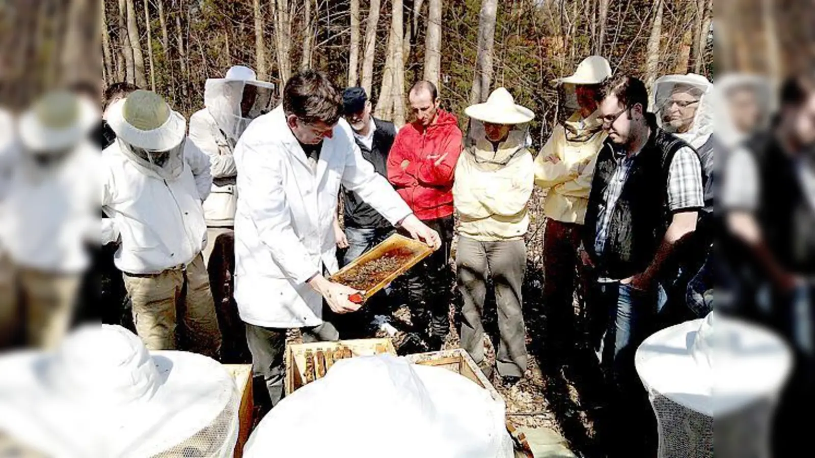 Franz Vollmaier mit bienenbesetzter Wabe in den Händen. 	 (Foto: Klaus Vollstädt)